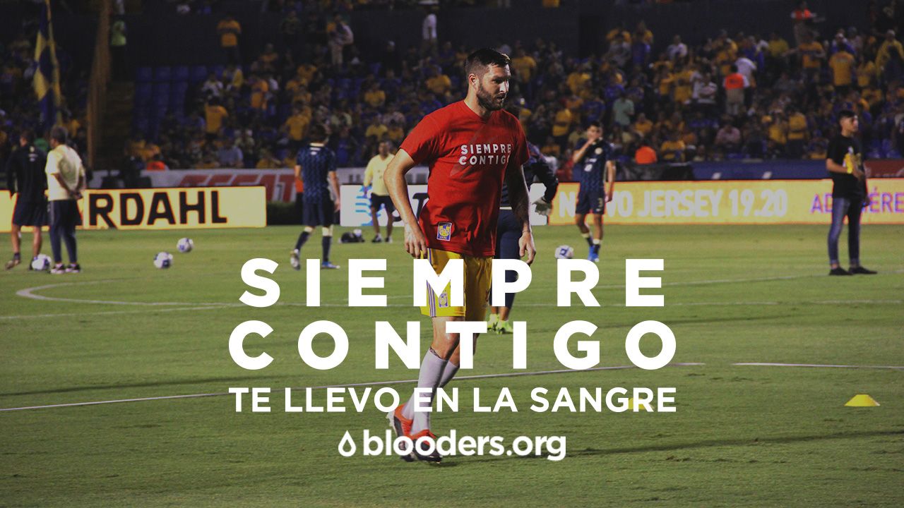🐯❤️ Campaña de donación de sangre con Tigres #TigresTeLlevoEnlaSangre (actualizado)